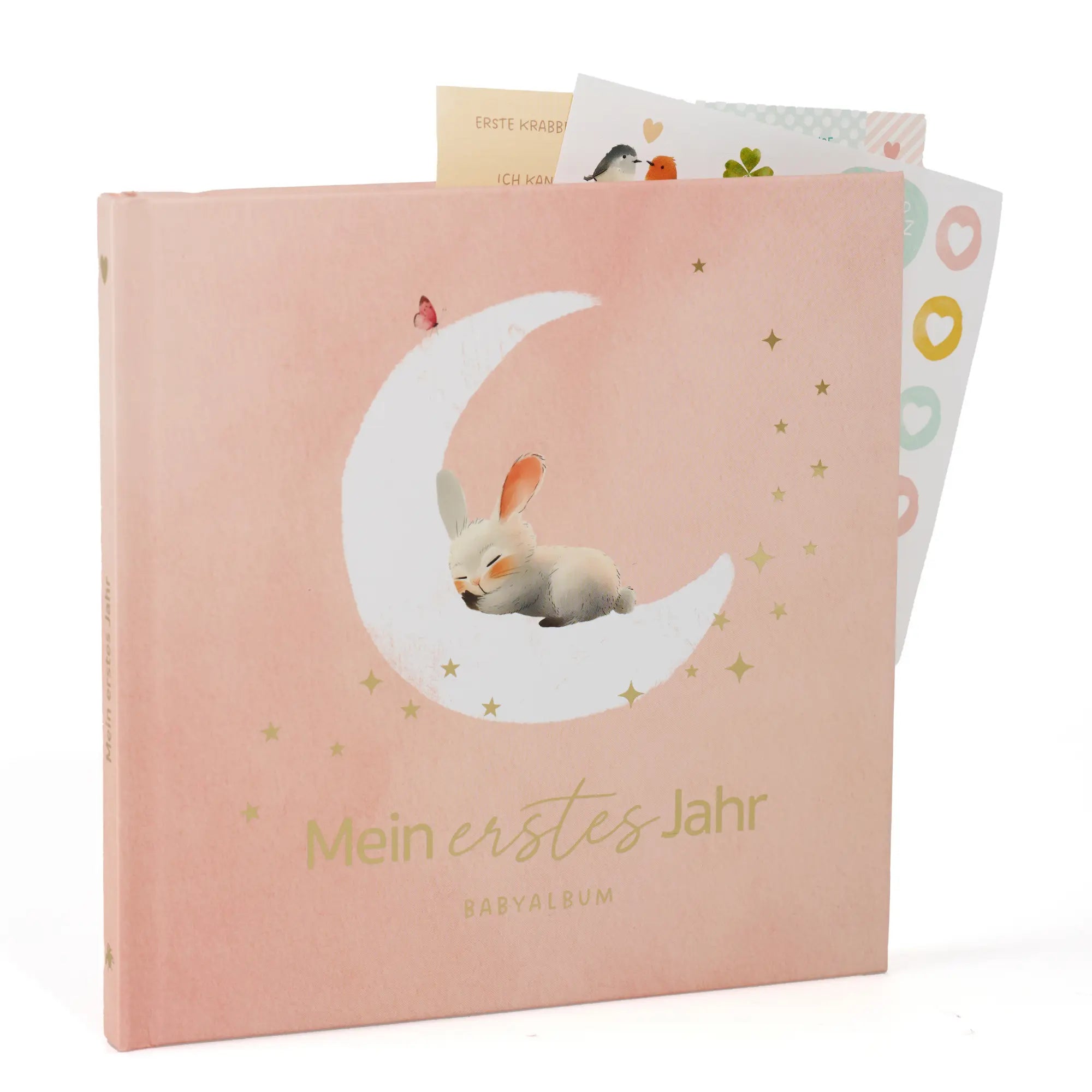 Babyalbum - Rosa