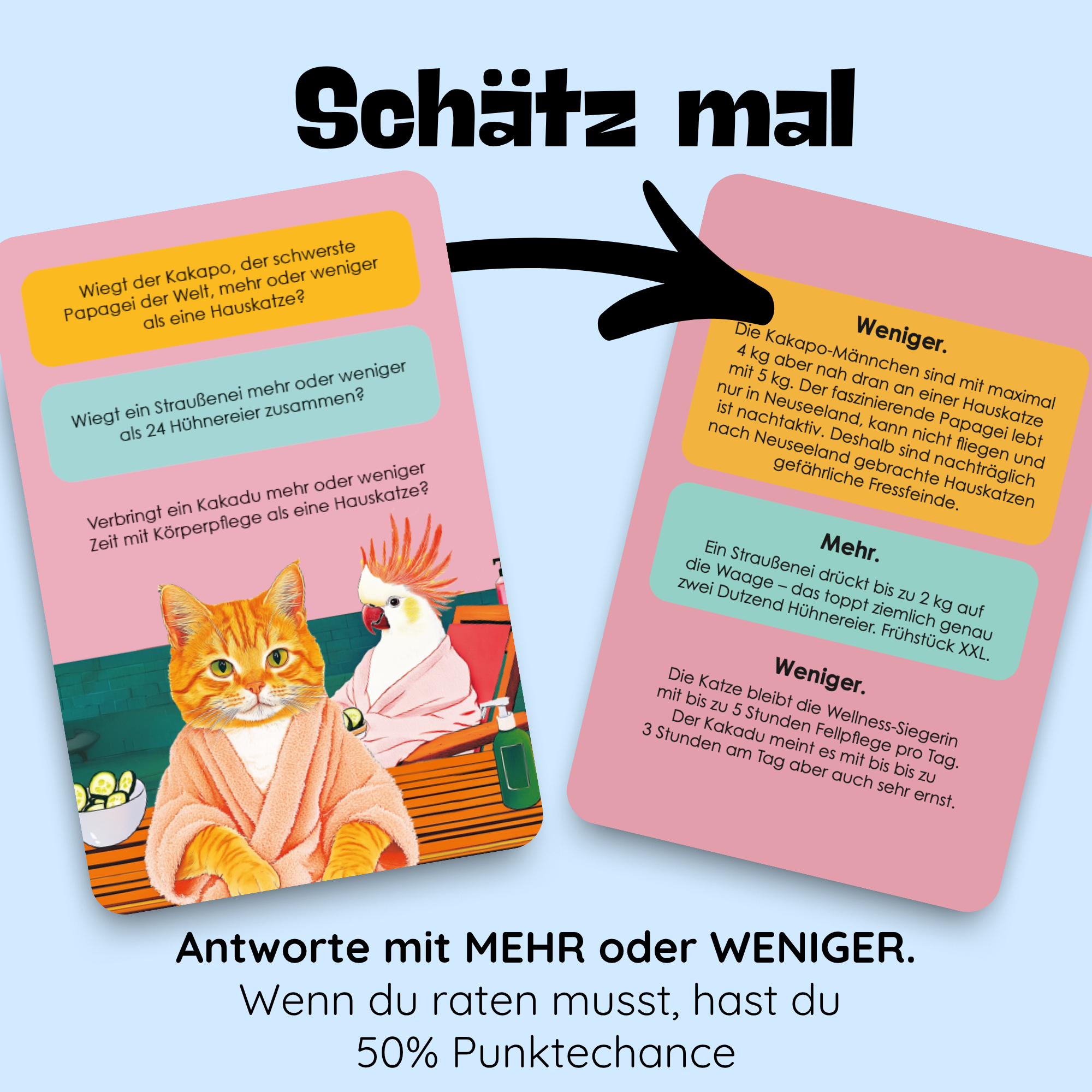 Mehr oder Weniger? - Das Schätzspiel