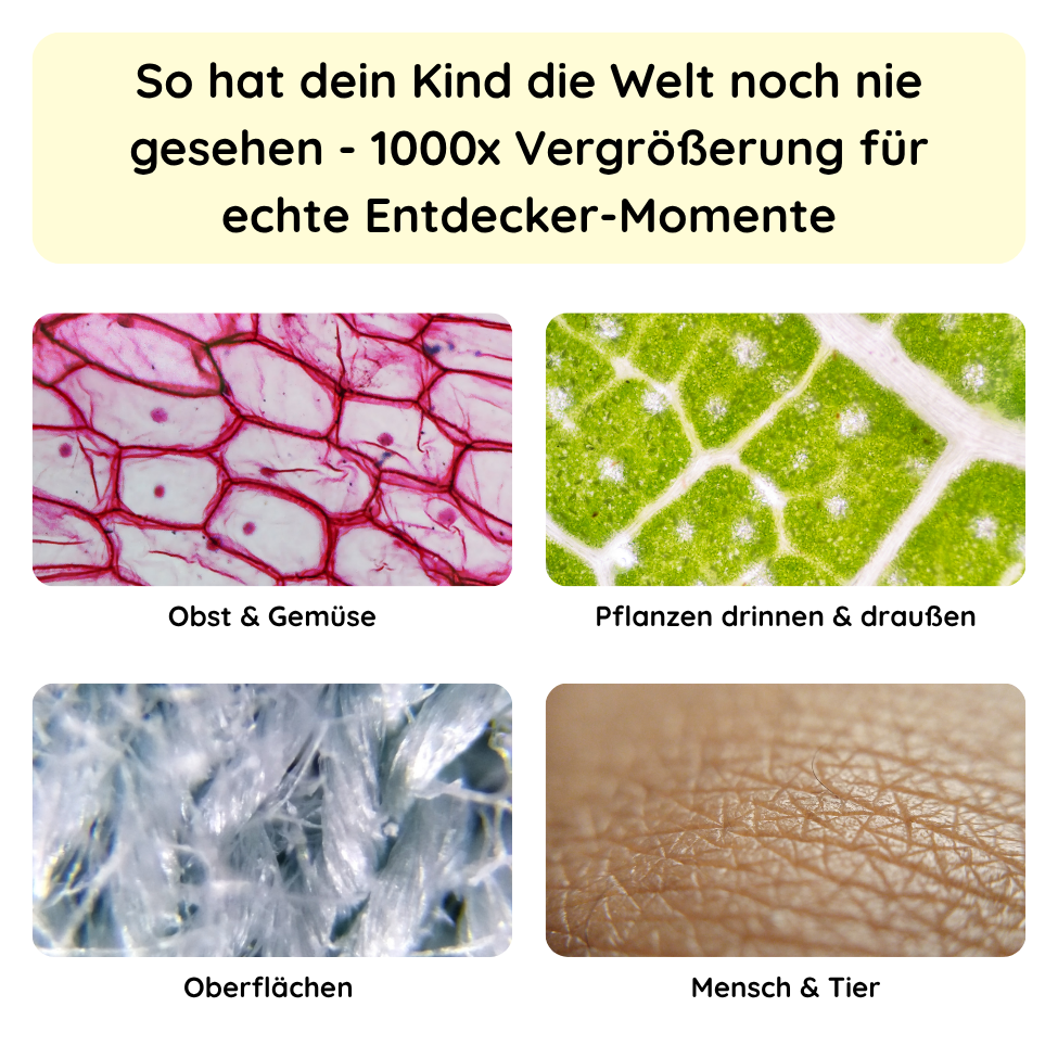 Rabano Entdecker Mikroskop für Kinder - Lila
