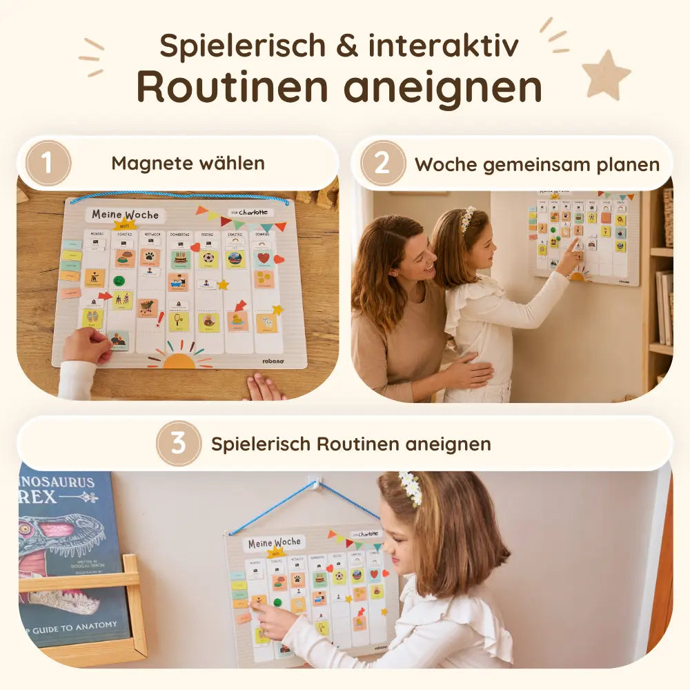Struktur & Selbstbewusstsein Bundle
